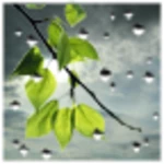 rain wallpaper android application logo